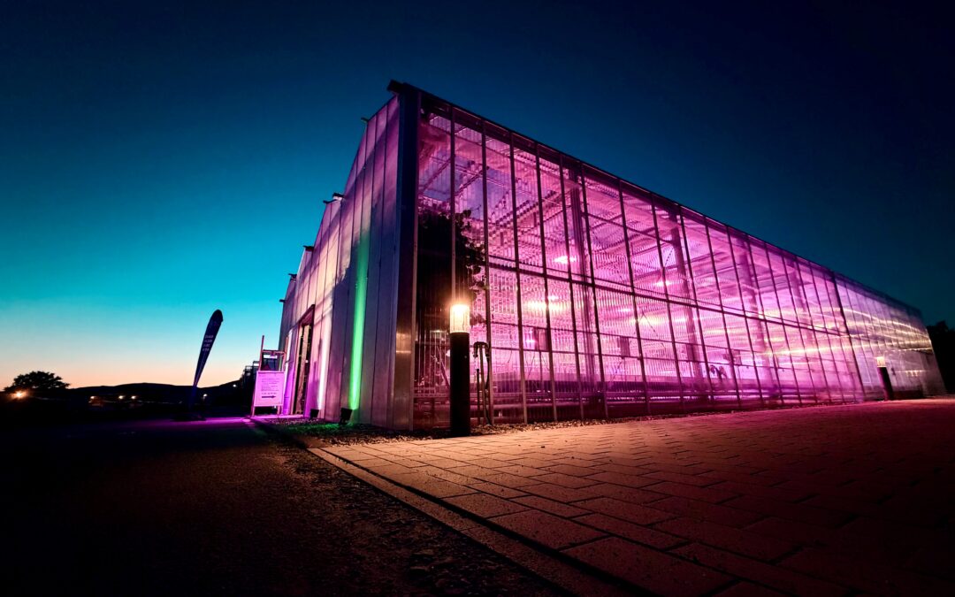 EU-GIFT brings a European dimension to Researchers’ Night in Geisenheim