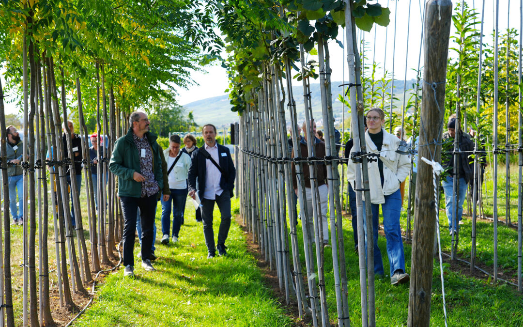 EU-GIFT members take part in the 25th Rhine-Main Tree Care Conference at Hochschule Geisenheim University