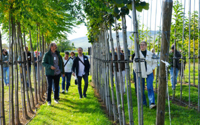 EU-GIFT members take part in the 25th Rhine-Main Tree Care Conference at Hochschule Geisenheim University